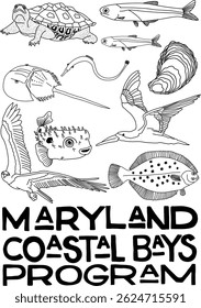 Maryland Coastal Bays Logo vector