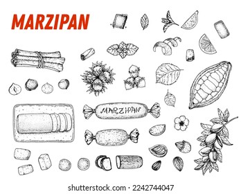 Marzipan cooking and ingredients for marzipan, sketch illustration. Almond nut and almond products. Vector illustration. Christmas sweet food. Design elements. Hand drawn, package design