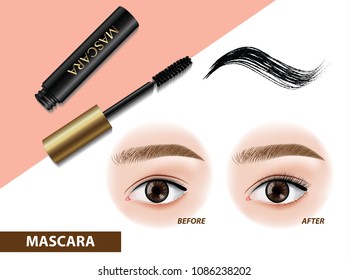 Mascara before and after vector illustration