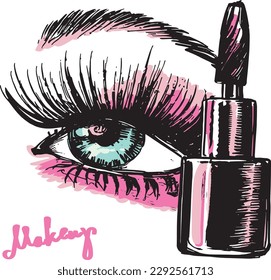 mascara and female eye with painted eyelashes and eyebrows vector drawing visage