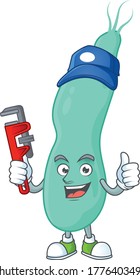 Concepto de diseño de mascota del trabajo de piloria de helicobacter como plomero inteligente. Ilustración del vector