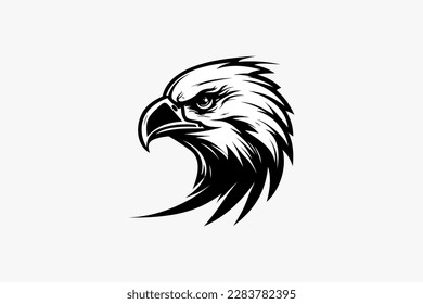 Mascot of Eagle Head, Bird logo, Falcon logo, Hawk logo, Vector logo template.