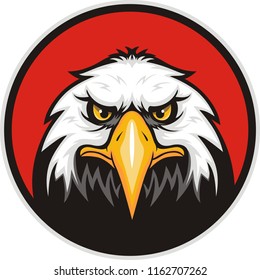 Mascot Head of an Eagle