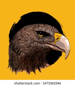 Mascot Head of an Eagle. Hand drawn vector illustration. Isolated on yellow background.