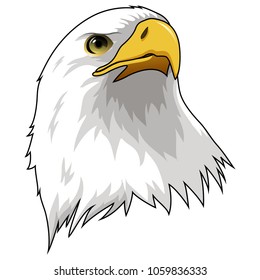 Vector Illustration Bald Eagle Stock Vector (Royalty Free) 1588531438