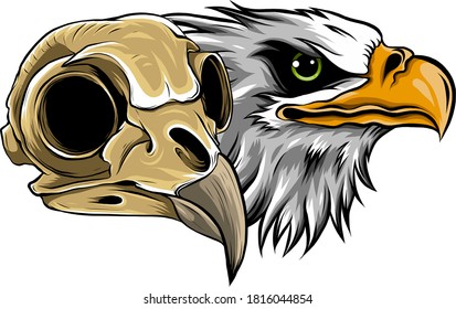 Mascot Head of an Eagle vector illustration