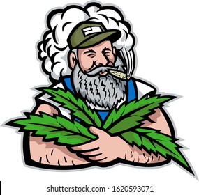 Mascot icon illustration of an American organic hemp farmer with beard smoking and holding cannabis leaves viewed from front on isolated background in retro style.