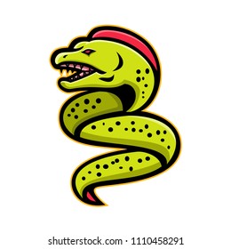 Mascot icon illustration of an angry moray eel or muraenidae with pharyngeal jaw going up viewed from side on isolated background in retro style.