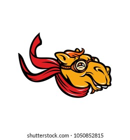 Mascot icon illustration of a Bactrian camel (Camelus bactrianus) a large, even-toed ungulate, smiling or grinning wearing aviator goggles and scarf on isolated background in retro style.