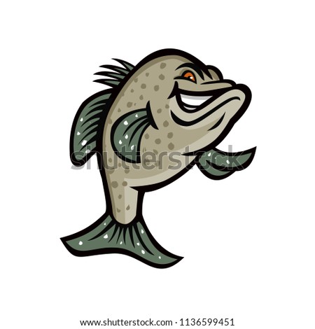 Mascot icon illustration of a crappie, croppie, papermouths, strawberry bass, speckled bass, specks, speckled perch, crappie bass or calico bass, standing up viewed from front done in retro style. Stock photo © 