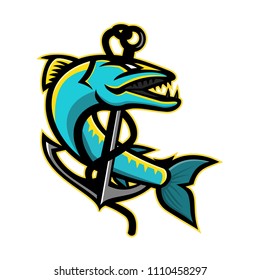 Mascot icon illustration of a great barracuda, a saltwater fish that is snake-like with fearsome appearance and ferocious behaviour, coiling up an anchor on isolated background in retro style.