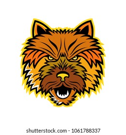 Mascot icon illustration of a head of an angry and aggressive Norwich Terrier dog viewed from on isolated background in retro style.