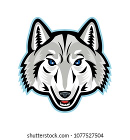 Mascot icon illustration of head of an Arctic wolf, white wolf or polar wolf, a subspecies of gray wolf  viewed from front on isolated background in retro style.