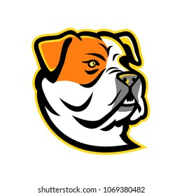 Mascot icon illustration of head of a bully type American Bulldog, a breed of utility dog viewed from side on isolated background in retro style.