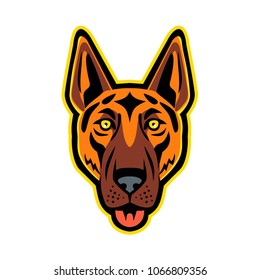 Mascot icon illustration of head of a German Shepherd Dog, Alsatian wolf dog, Berger Allemand, or Deutscher Schaferhund with tongue out viewed from front on isolated background in retro style.