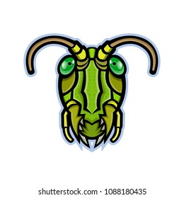 Mascot icon illustration of head of a grasshopper or locust, insects of the suborder Caelifera within the order Orthoptera, viewed from front on isolated background in retro style.