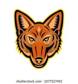 Mascot icon illustration of head of a Jackal or sometimes called American jackal  viewed from front on isolated background in retro style.