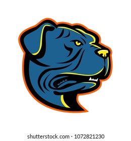 Mascot icon illustration of head of a Leavitt Bulldog looking up viewed from side on isolated background in retro style.