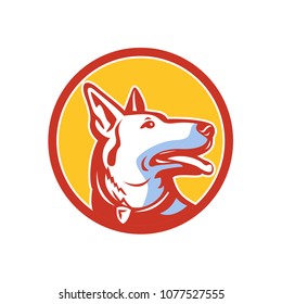 Mascot icon illustration of head of a police dog, German Shepherd, Alsatian wolf dog or sometimes abbreviated as GSD looking up set inside circle viewed from side isolated background in retro style.