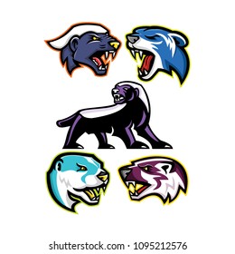 Mascot icon illustration set of fossorial carnivores like the honey badger or the ratel, polecat or weasel, the North American river otter or common otter and the American badger in retro style.