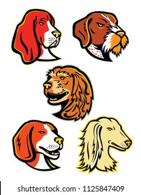 Mascot icon illustration set of heads of hound dogs like the basset hound, German wirehaired pointer dog, English cocker spaniel, beagle and saluki,  Arabian Greyhound or Tazi, in retro style.