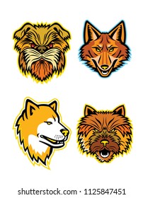 Mascot icon illustration set of heads of terriers and wolves or canids, like the Affenpinscher dog or  Monkey Terrier, coyote, wolf, coydog or wild dog, Japanese Akita Inu and the Norwich terrier.