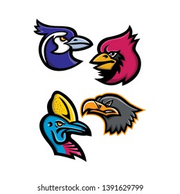Mascot icon illustration set of heads of bird wildlife like the black throated magpie, cardinal, cassowary and the european eagle viewed from side  on isolated background in retro style.