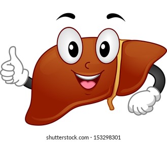 Mascot Illustration Featuring a Liver Giving a Thumbs Up