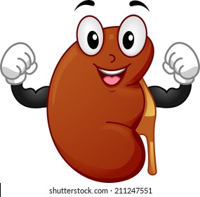 Mascot Illustration Featuring a Strong Kidney Flexing its Muscles