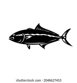 Mascot illustration of a greater amberjack, Seriola dumerili, medregal, coronado, allied kingfish, great amberfish, greater yellowtail, jenny lind, purplish amberjack in retro black and white style.