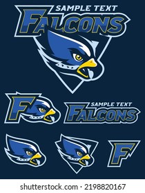 Mascot illustration with the head of determined falcon.