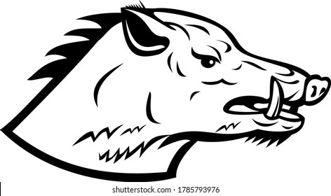 Mascot illustration of head of a wild boar, Sus scrofa, wild swine, common wild pig, a suid native to much of the Palearctic viewed from side on isolated background in retro black and white style.