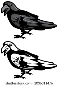 Mascot illustration of raven in two versions.