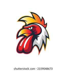 vector de cabeza de gallo de mascota con fondo blanco