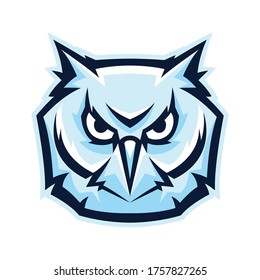 Mascot stylized owl head. Illustration or icon of wild bird.