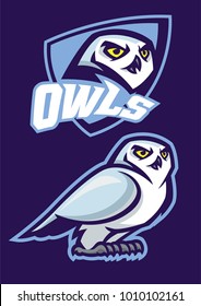 mascot of white owl with sport style