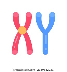 Masculine Chromosomes icon in vector. Illustration