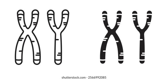 Masculine Chromosomes icons in outline and fill. vector illustration for ui.