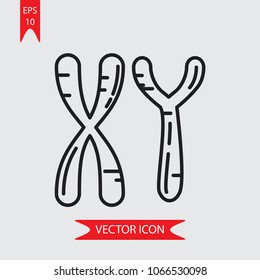 Masculine Chromosomes vector icon