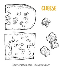 Masdam cheese illustration. Set, menu label, identity poster banner, branding. Stylish design with a sketch of cheese. Balanced nutrition for your health.