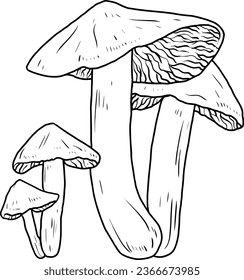 dibujo de línea vectorial mashroom