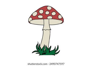 mashrooms vector illustration, of mushrooms on a white background.