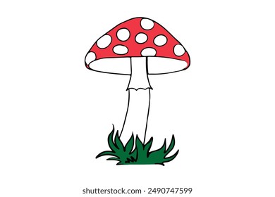 mashrooms vector illustration, of mushrooms on a white background.