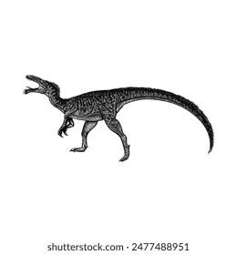 Masiakasaurus hand drawing vector isolated on white background.