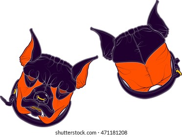 Mask of Dog