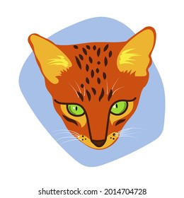 Mask of Lion cat in vector illustration. Isolated on white background with blue spot. Fox, animal, wildlife, sight, predator, meow. Poster, print, card, sticker, pin design. Childish, kids.