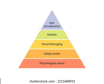 
Maslow's hierarchy of needs