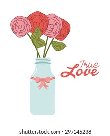 mason jar design, vector illustration eps10 graphic 