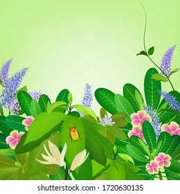 Masa de fondo de flora y flores, ilustración vectorial dibujada a mano.