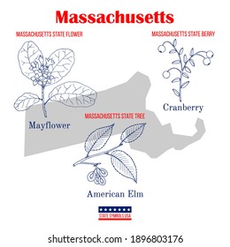 Massachusetts. Set of USA official state symbols. Vector hand drawn illustration